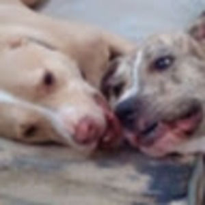 Meet your Posher, Joleeka